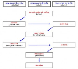 aHR0cDovL3ZudGh1cXVhbi5uZXQvZGllbmRhbi91cGZpbGVzLzI0NTIvMTk5RTI5NUREMjM1NDA5QkEzNzE3NUE1MEQwNjk5NzYuanBn